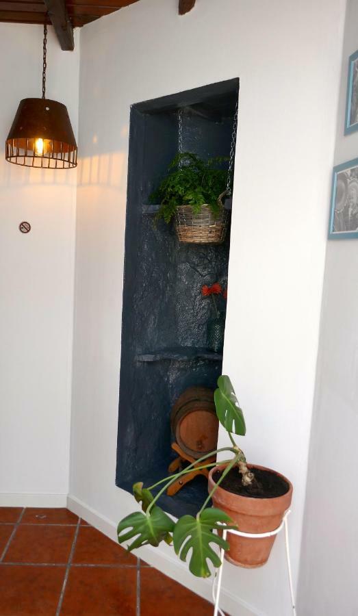 Casa Valle De Palmeras อาริอา ภายนอก รูปภาพ